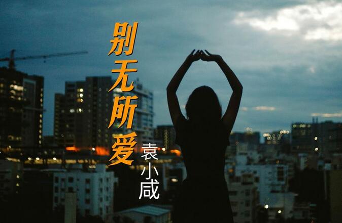 心心念念的冷門歌曲找到了：《袁小咸 - 別無所愛》