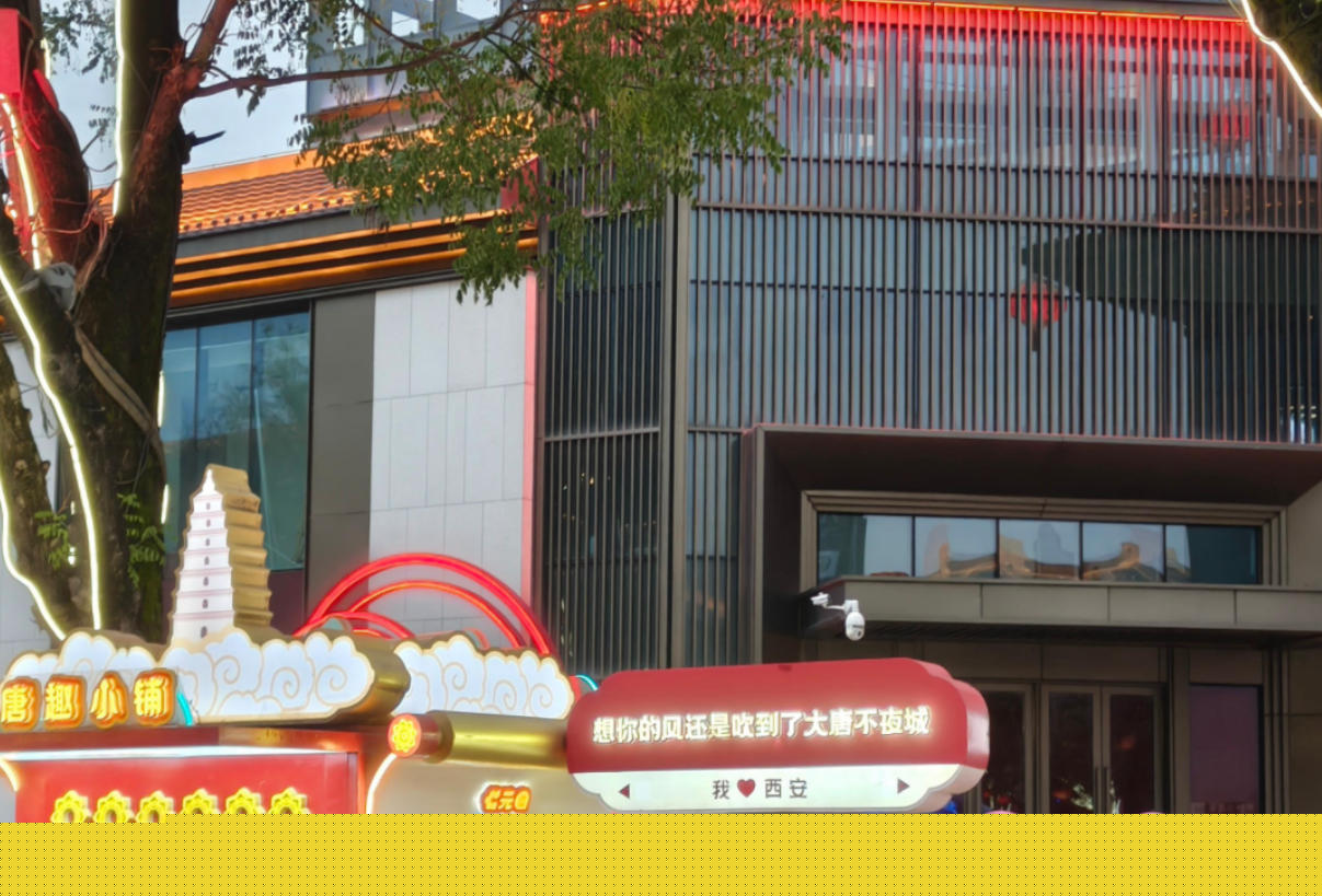 出差之余，去了趟大唐不夜城。